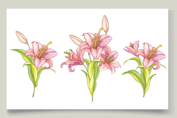 Illustration Floral Bouquet Set: A Versatile and Elegant Design Solution